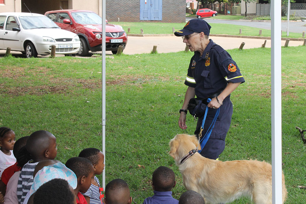 Plant Hire | In-Mart