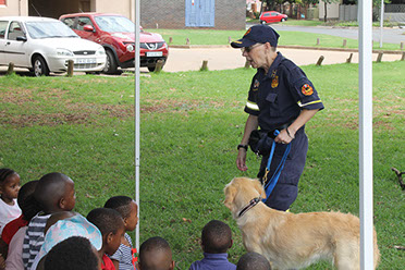 Plant Hire | In-Mart