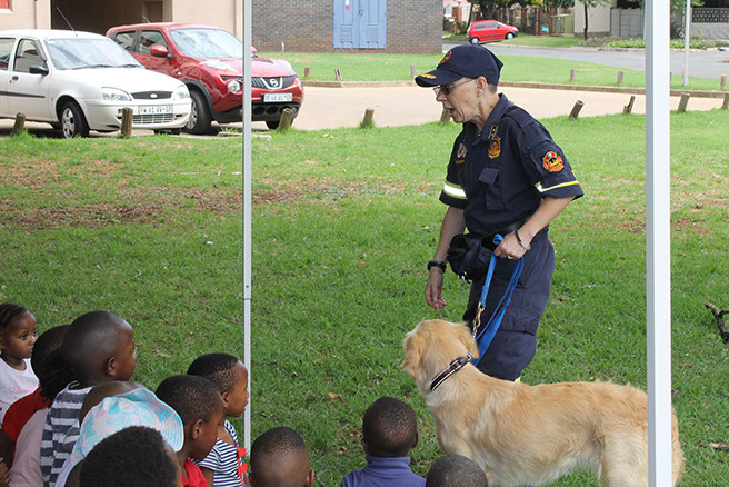 Plant Hire | In-Mart