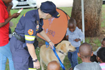 Plant Hire | In-Mart