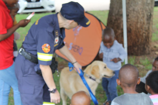 Plant Hire | In-Mart