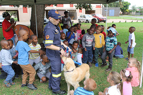 Plant Hire | In-Mart