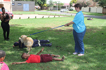 Plant Hire | In-Mart