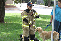 Plant Hire | In-Mart